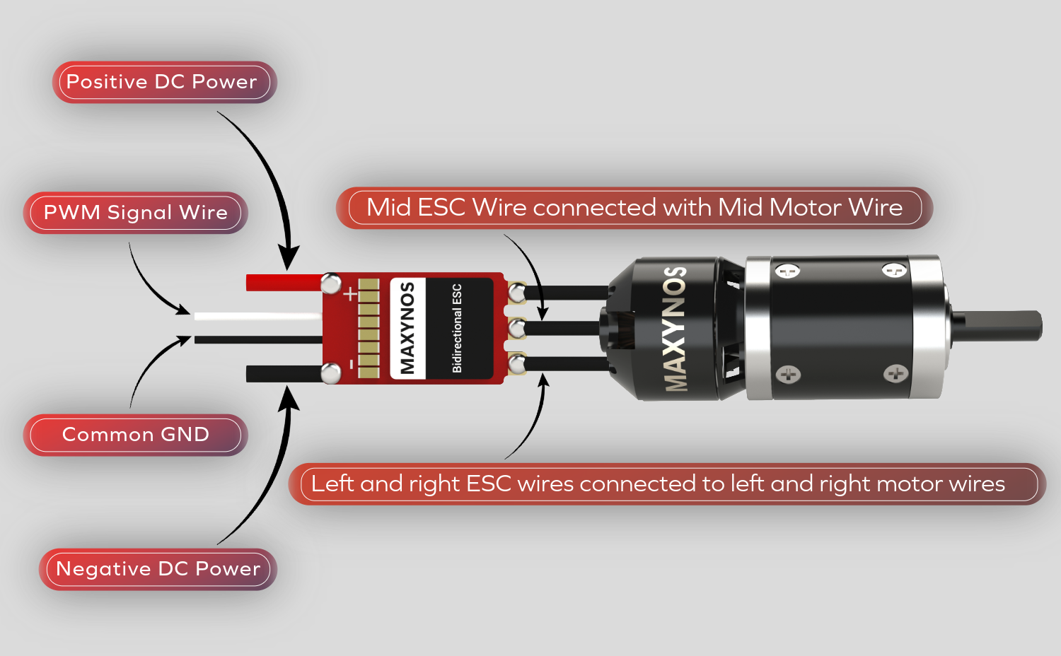 Maxynos THOR brushless motor wiring diagram showing three-phase connection to electronic speed controller (ESC)